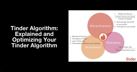 tinder algoritmi|The Tinder algorithm, explained